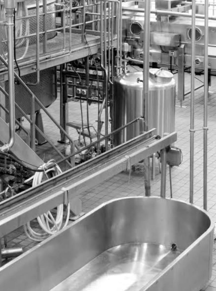 Dairy Plant Overview